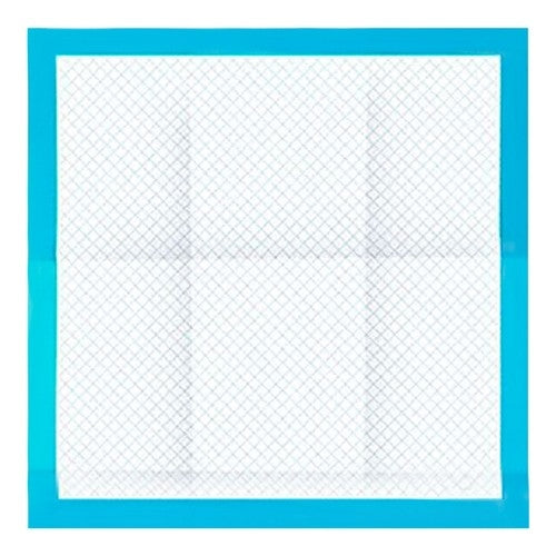 Hygienic pad 60x60cm 50 pcs. Purlov 21600