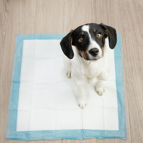 Hygienic pad 60x60cm 50 pcs. Purlov 21600