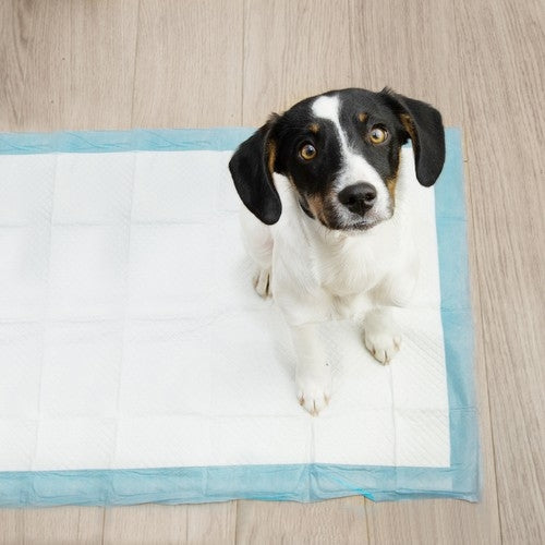 Hygienic underlay 60x40cm 100pcs. Purlov 21599