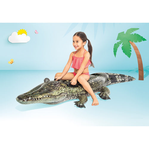 INTEX 57551 air mattress