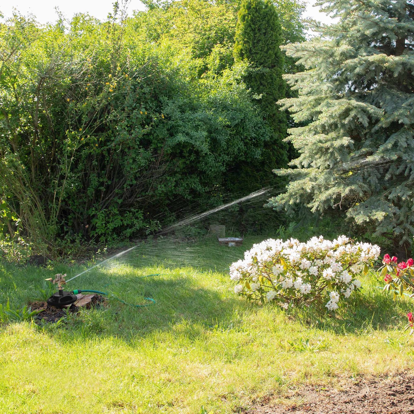 Impulse Sprinkler Head, Adjustable Spray, 450m² Coverage