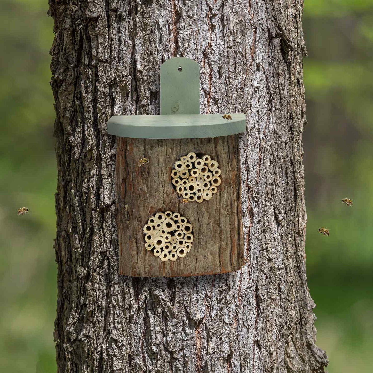 Insect hotel with separate nesting holes
