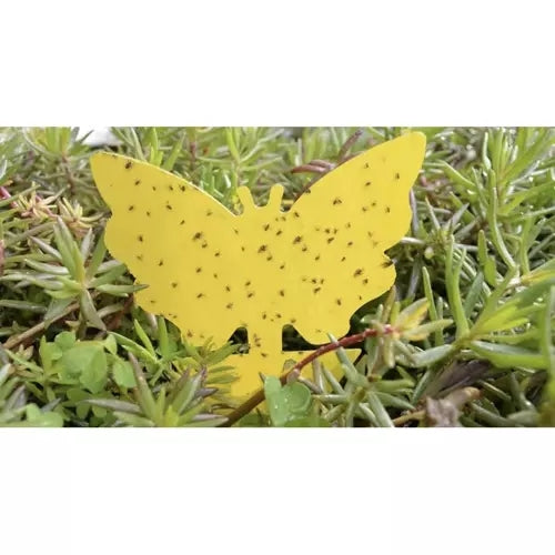 Insect stick - 12 pcs. Repest 19053