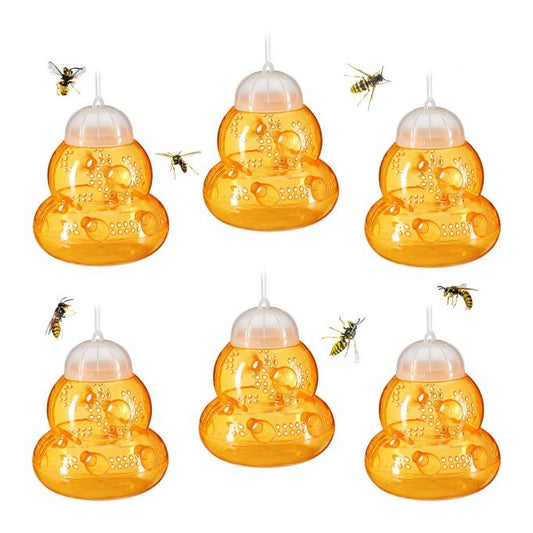 Insect trap 6 pcs
