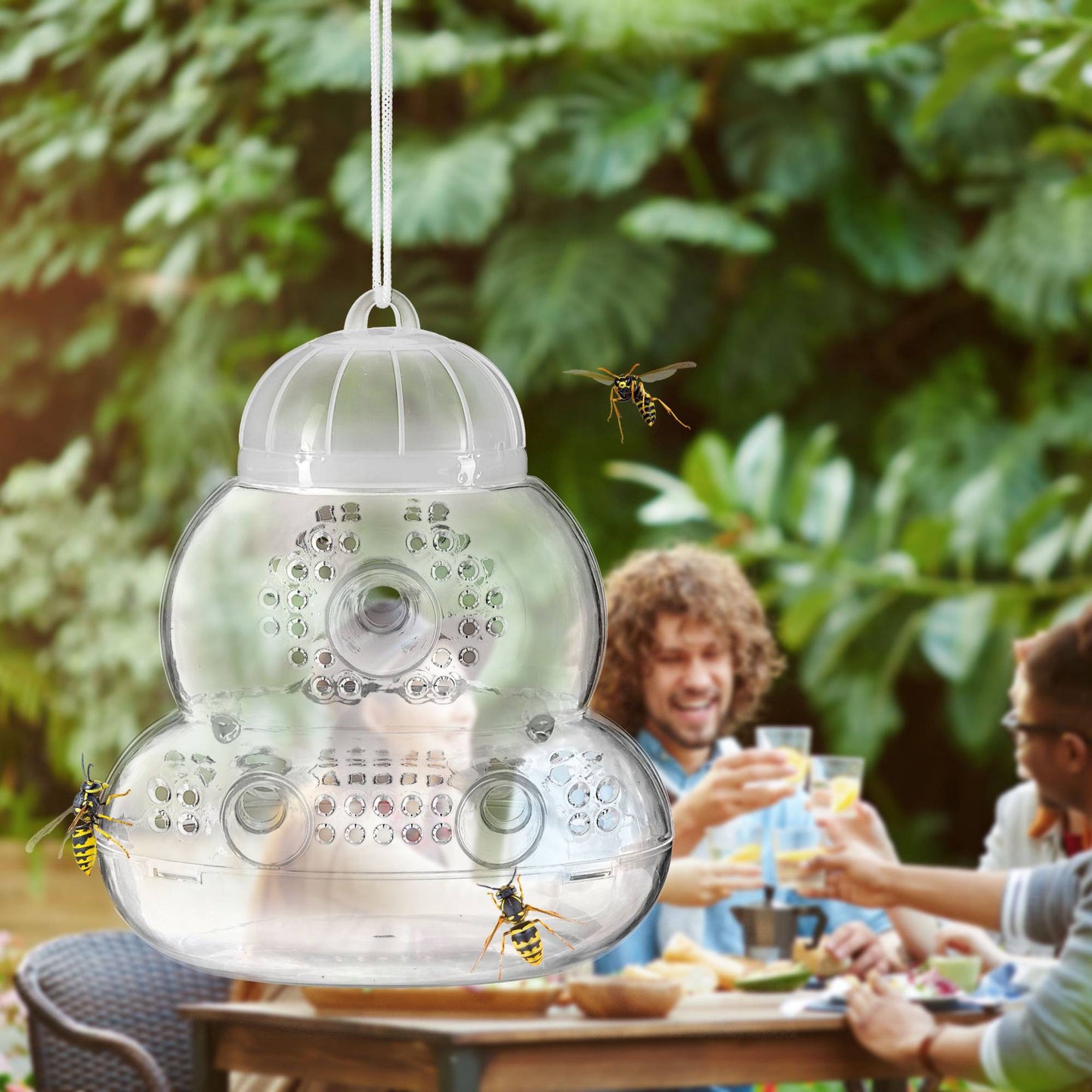 Insect trap transparent set of 2