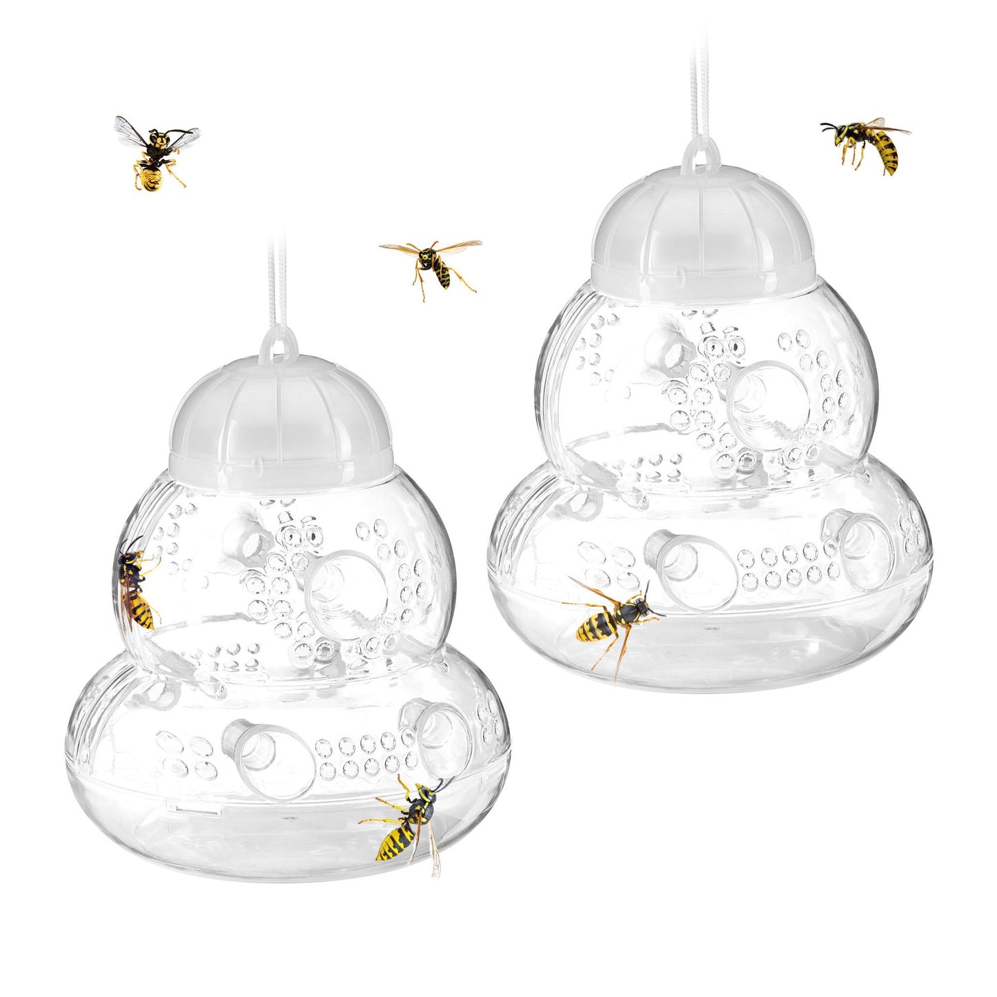 Insect trap transparent set of 2
