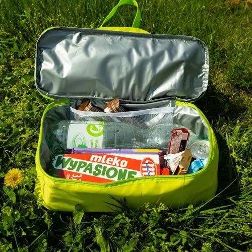Insulated beach/picnic bag