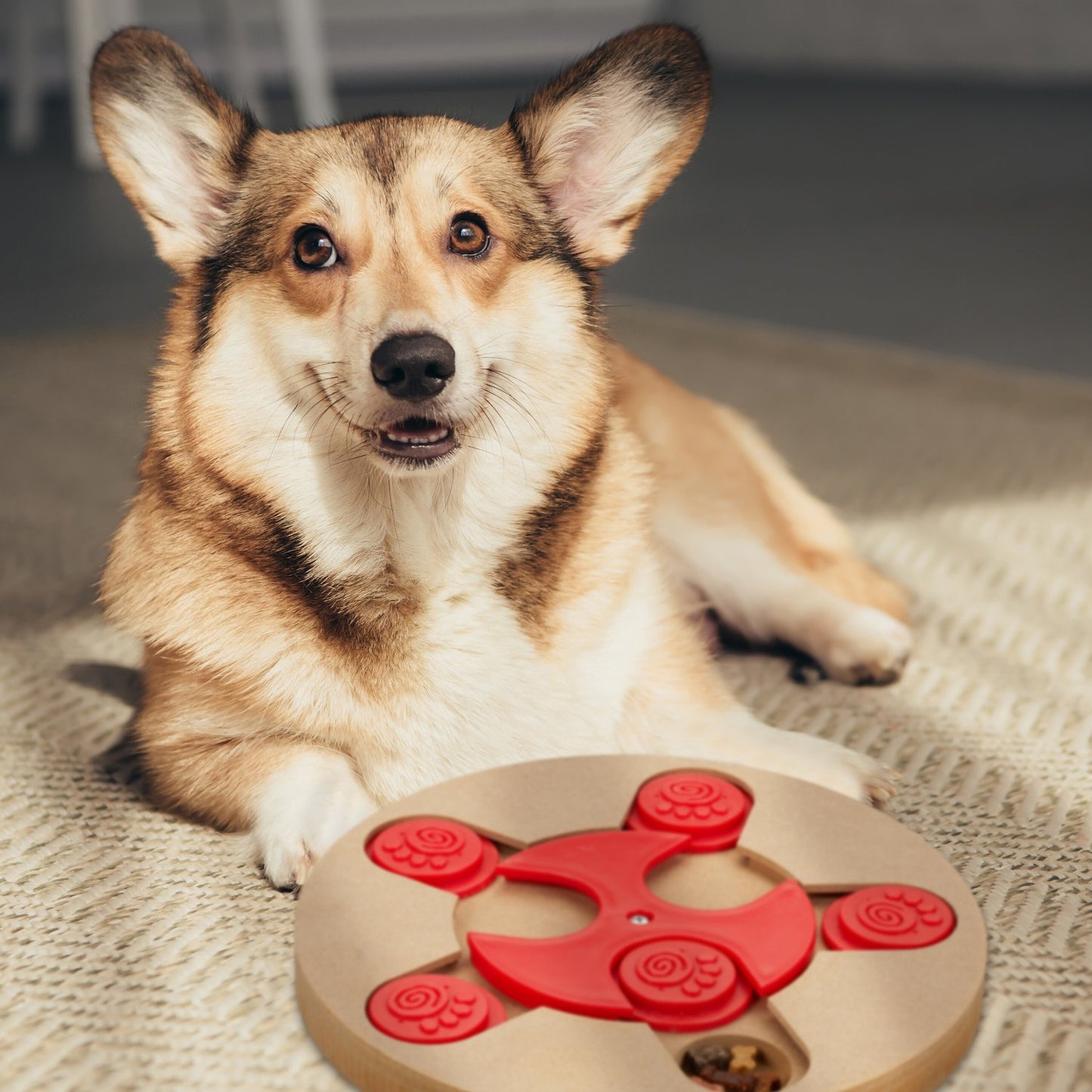 Intelligent toys for dogs