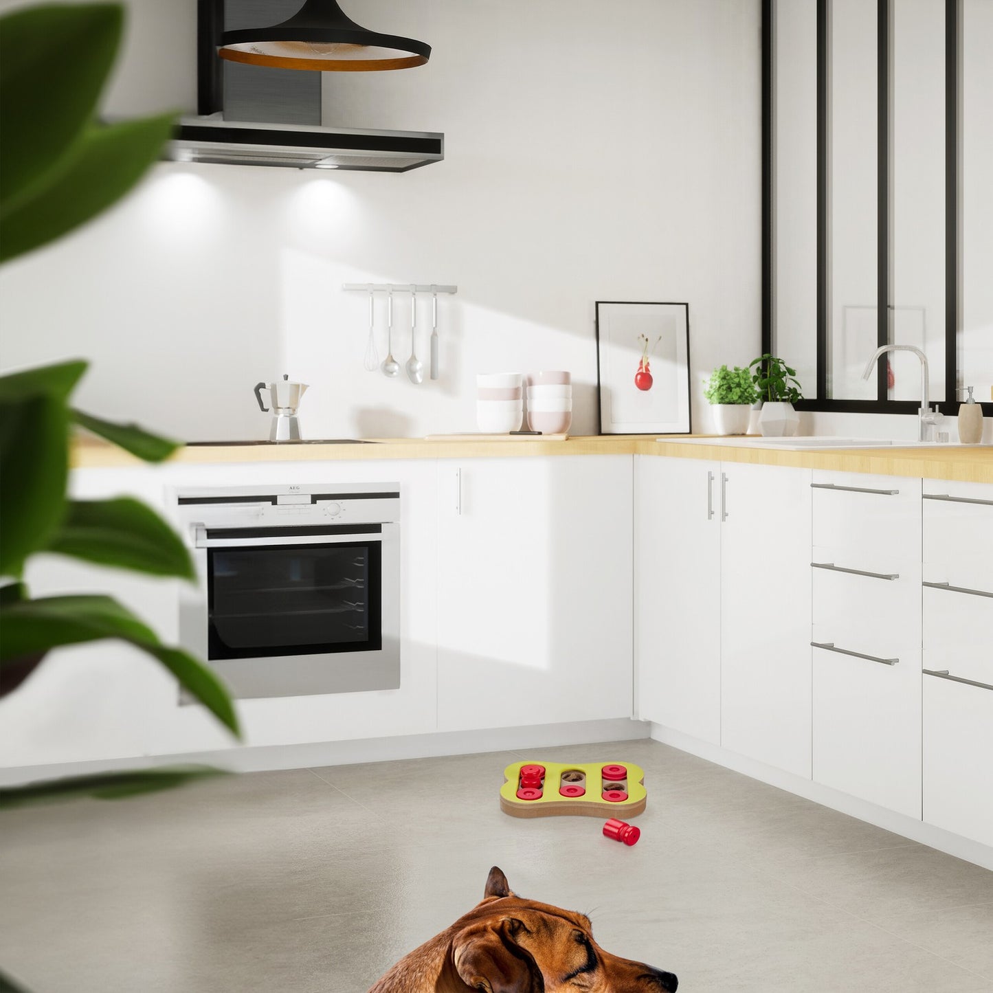 Intelligent toys for dogs