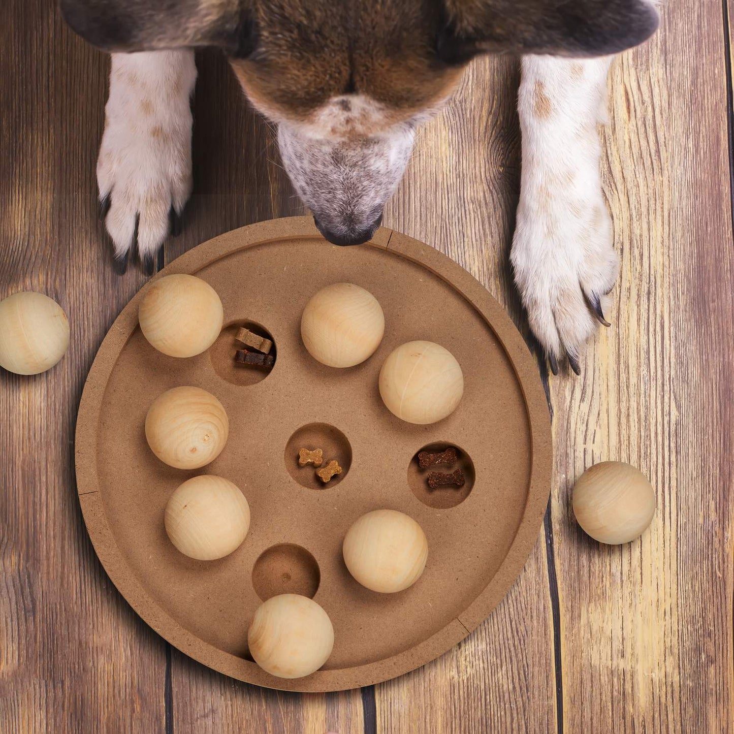 Intelligent toys for dogs and cats