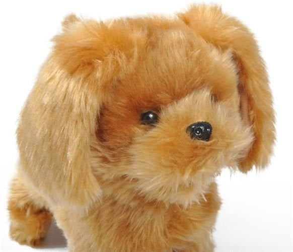 Interactive dog