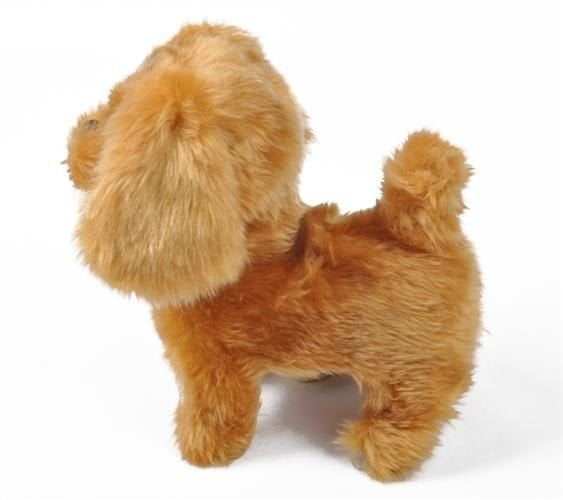 Interactive dog
