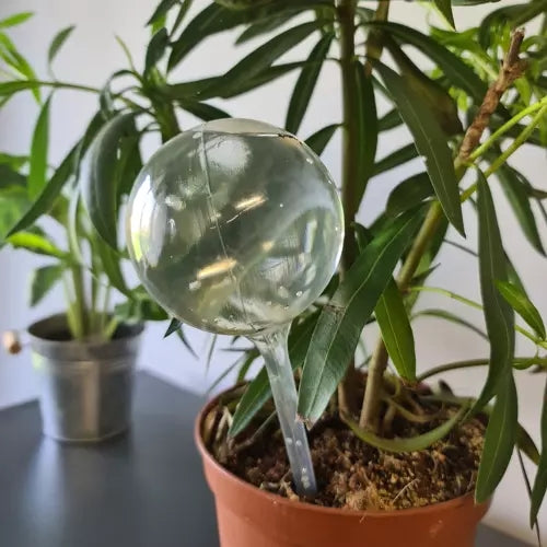 Irrigation balls - 8 pcs. Gardlov 21043