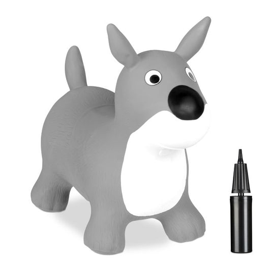 Jumping animal dog in grey