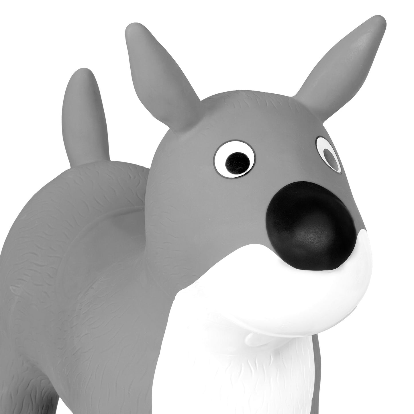 Jumping animal dog in grey