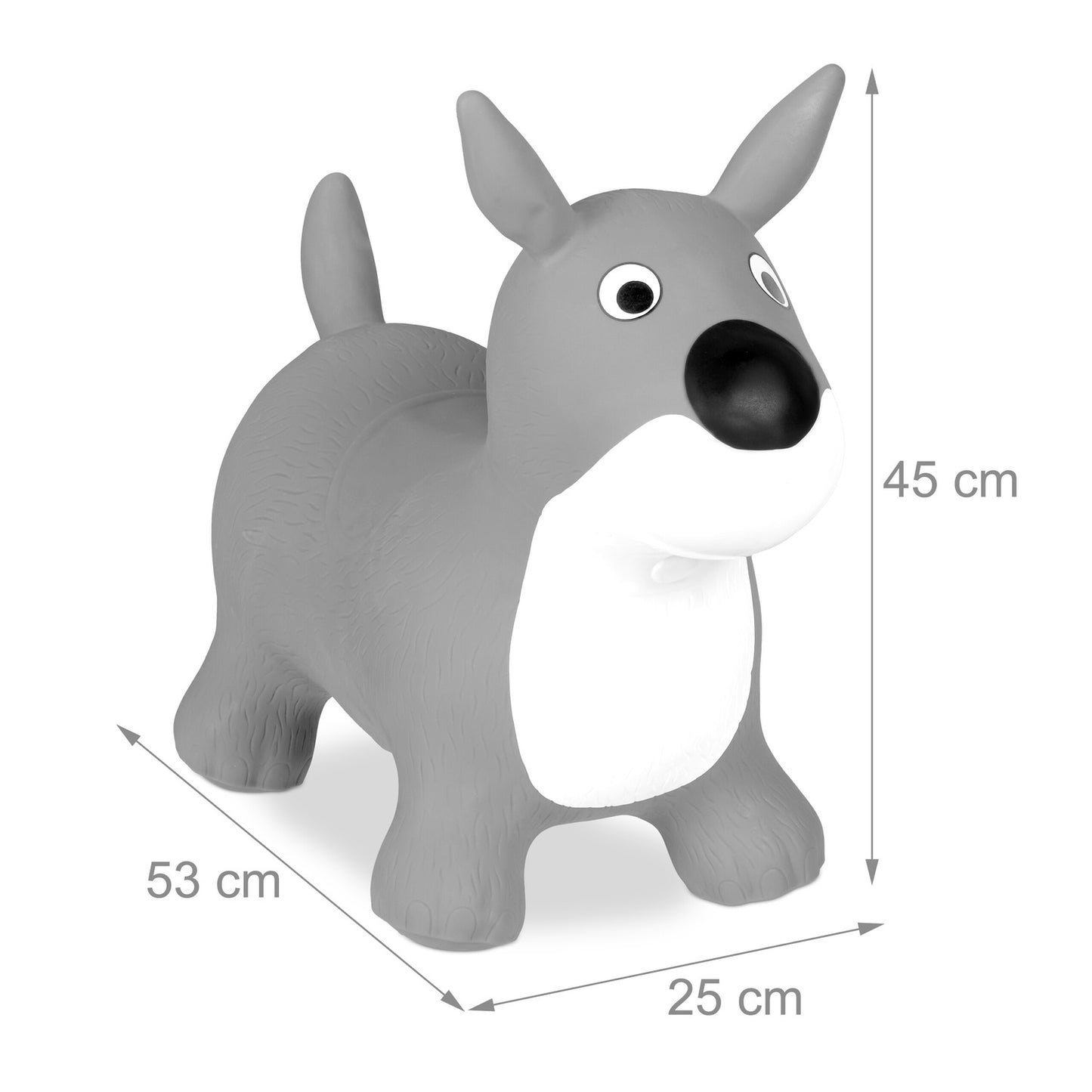 Jumping animal dog in grey