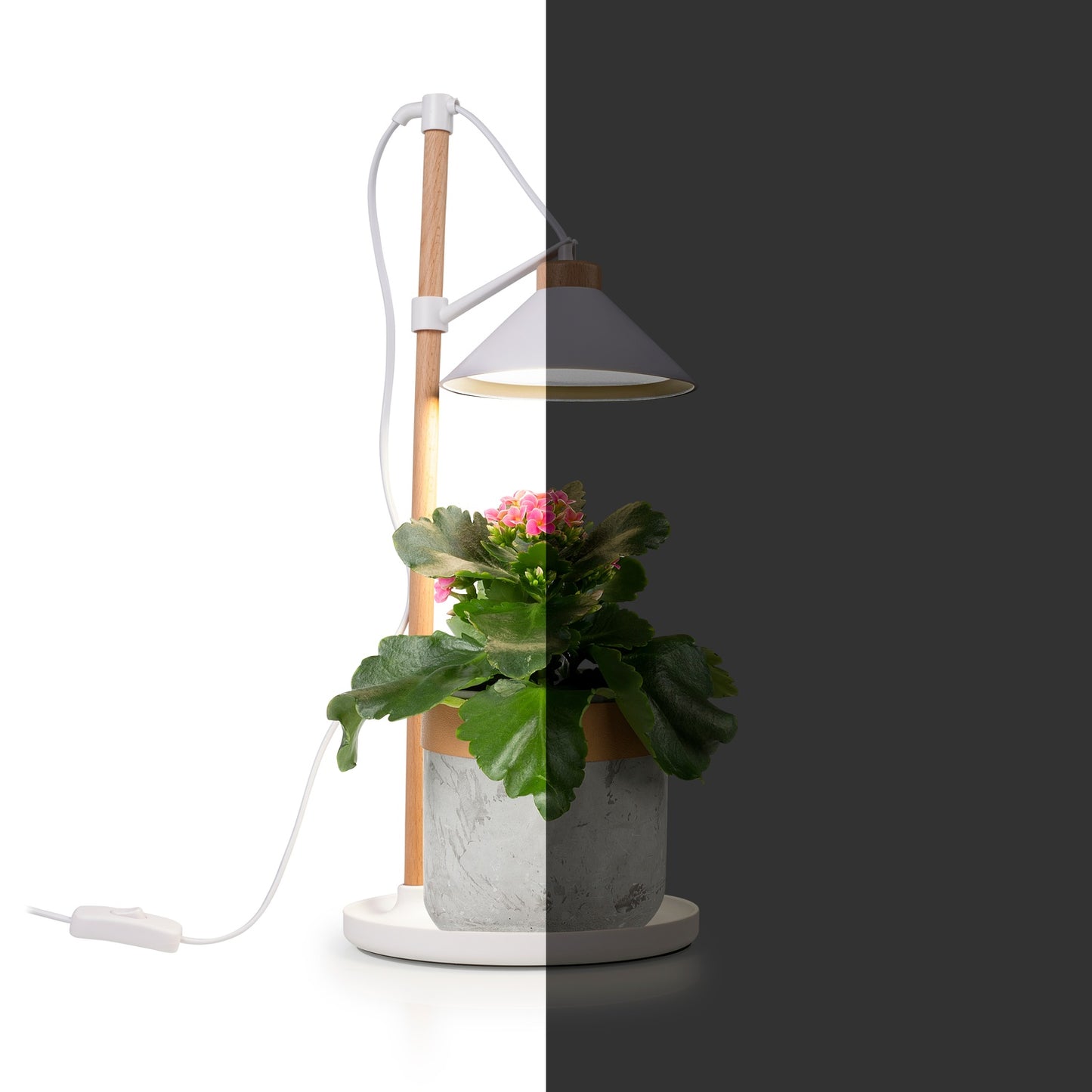 LED grow light