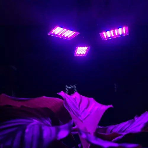 Lamp 108 LED for plant growth Gardlov 20440