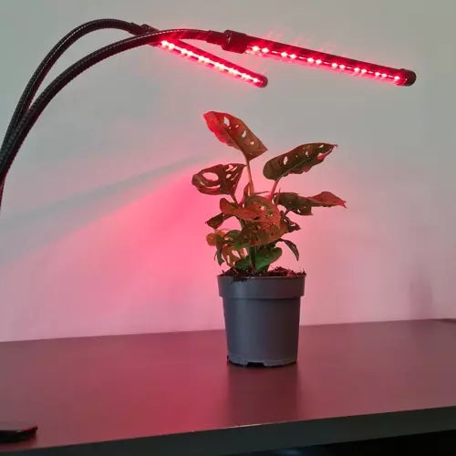 Lamp 20 LED 2pcs for plant growth Gardlov 19241