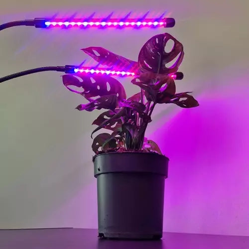 Lamp 20 LED 2pcs for plant growth Gardlov 19241