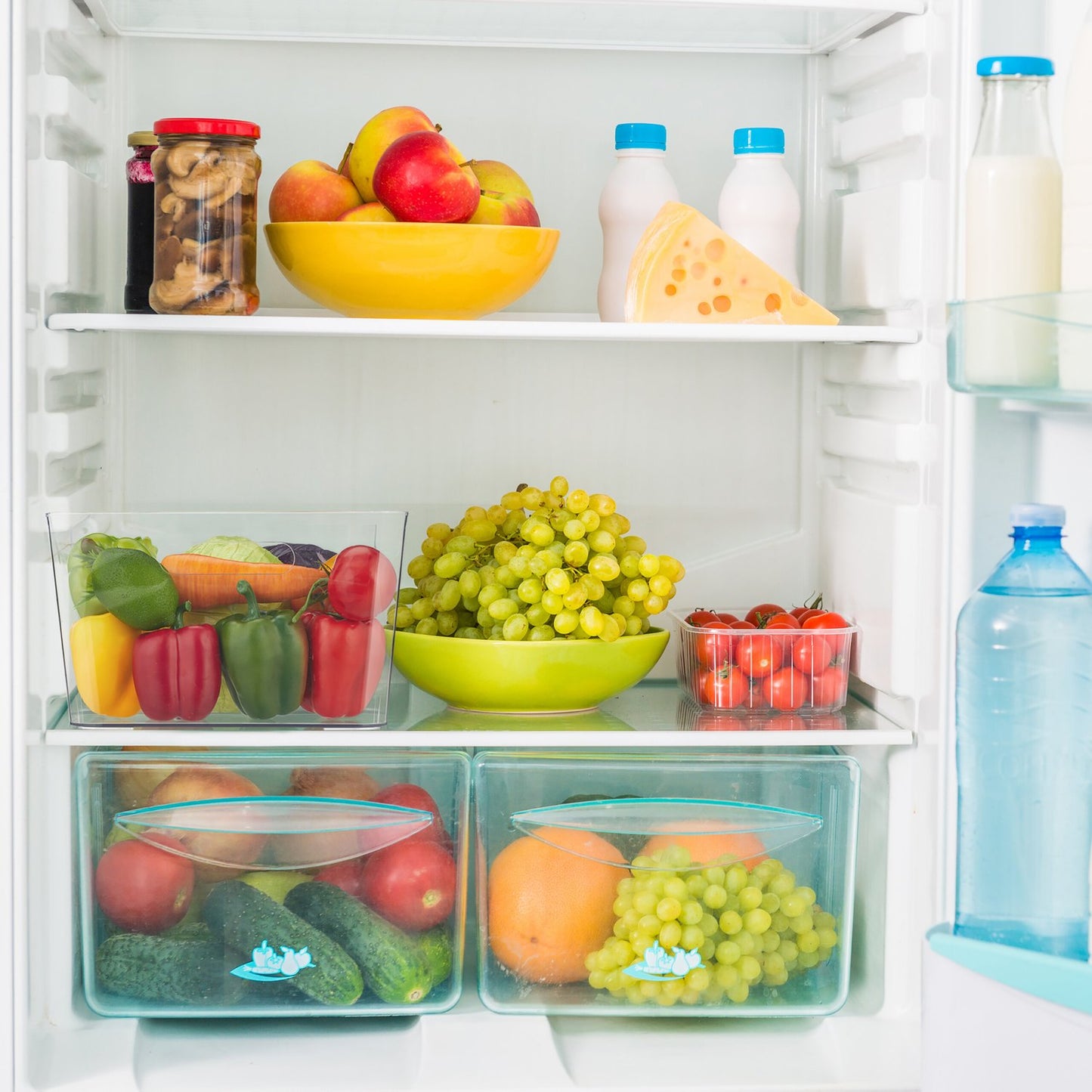 Large Organiser with Handles for Fridge