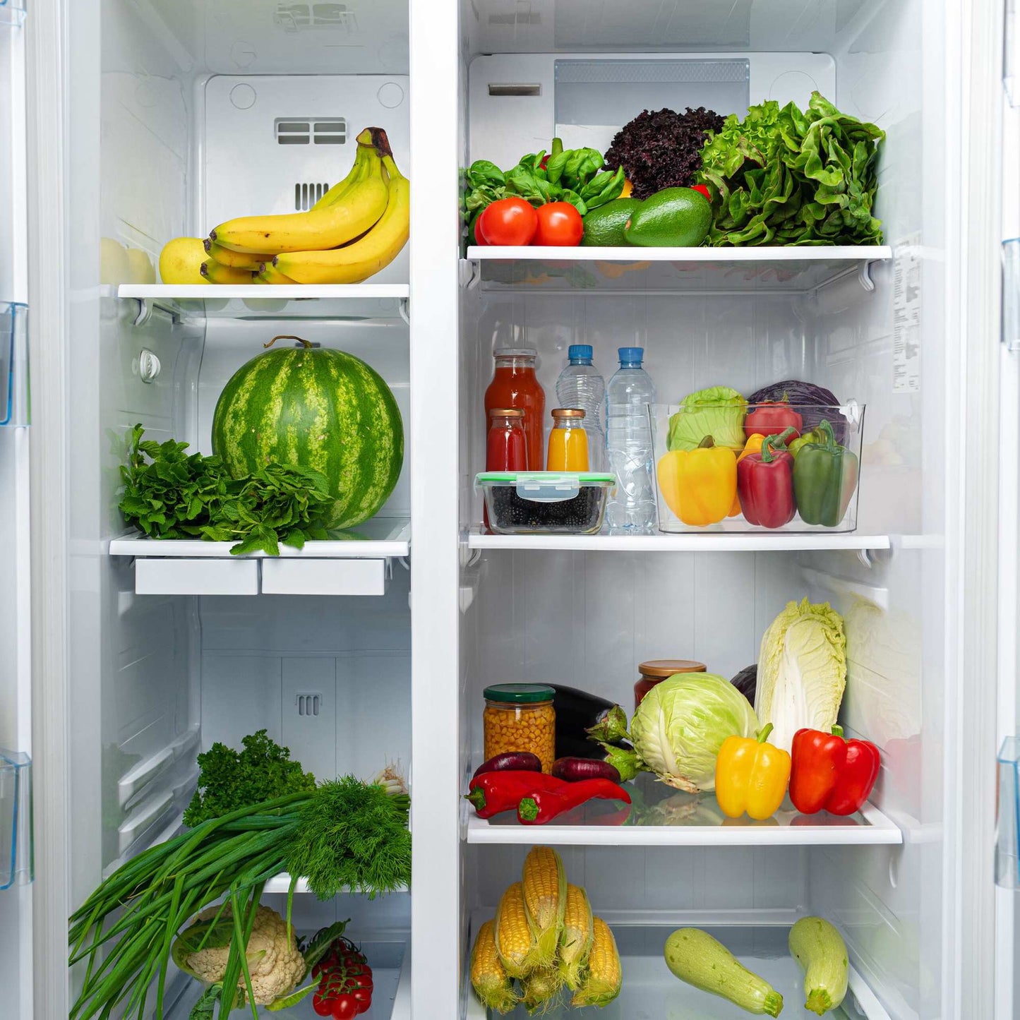 Large Organiser with Handles for Fridge