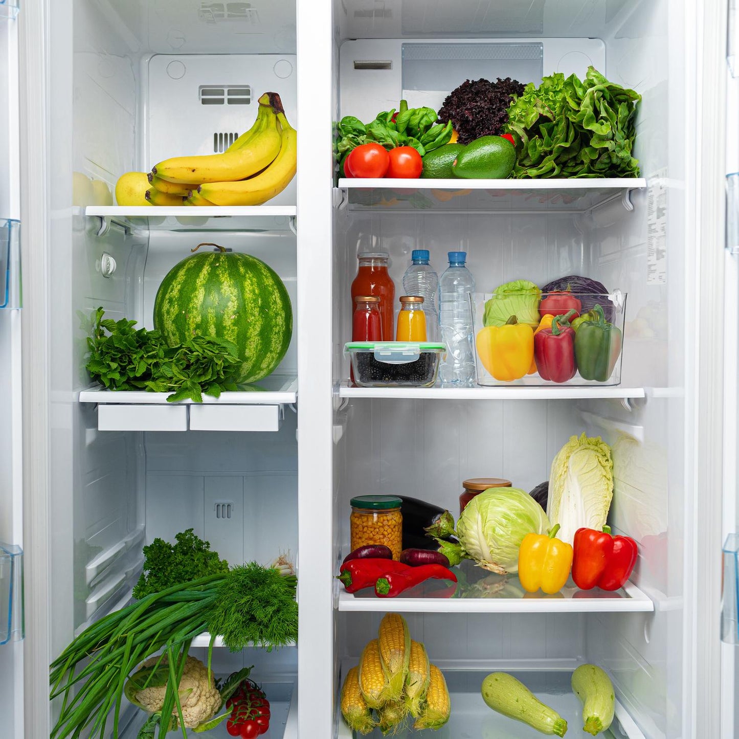 Large Organiser with Handles for Fridge