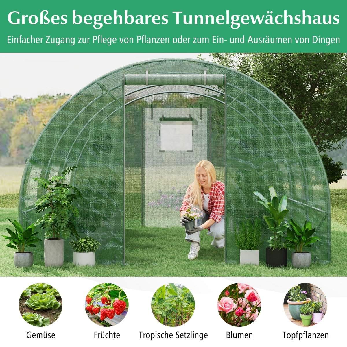 Large Walk-In Greenhouse 12m² with PE Cover & Iron Frame