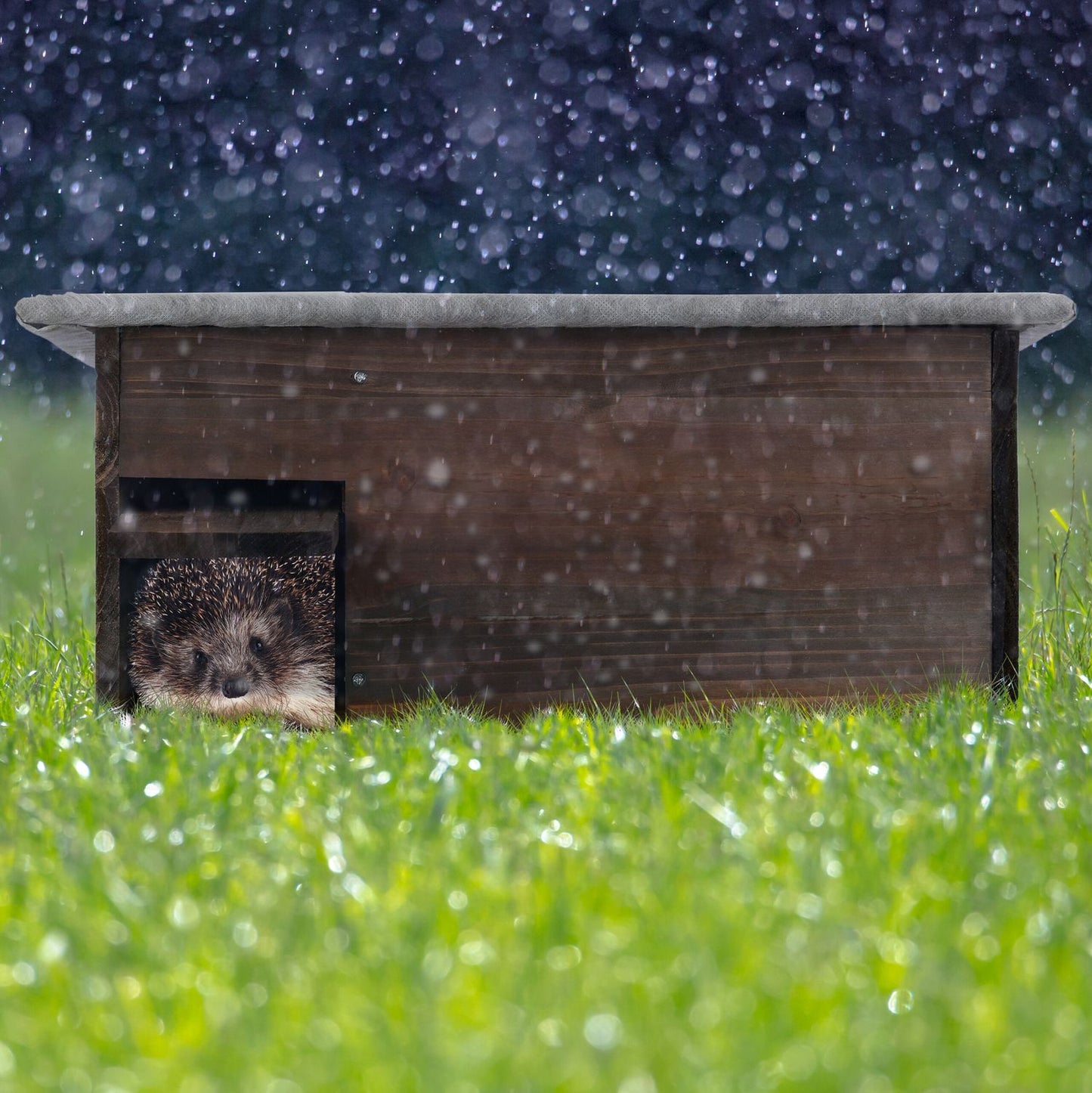 Large Wooden Hedgehog House