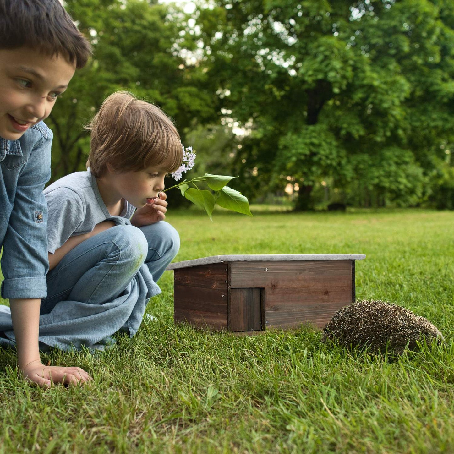Large Wooden Hedgehog House