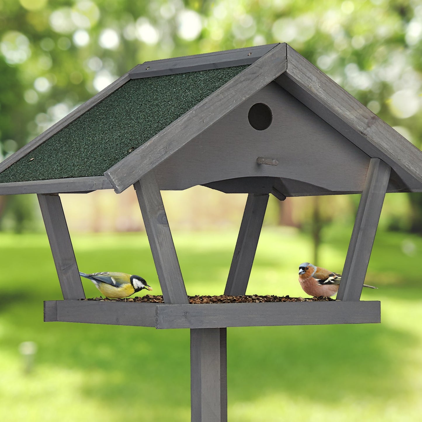 Large bird table on pole