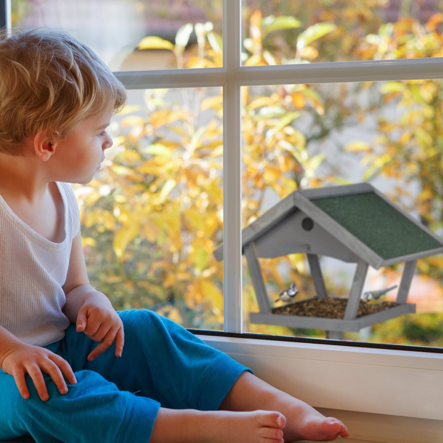 Large bird table on pole