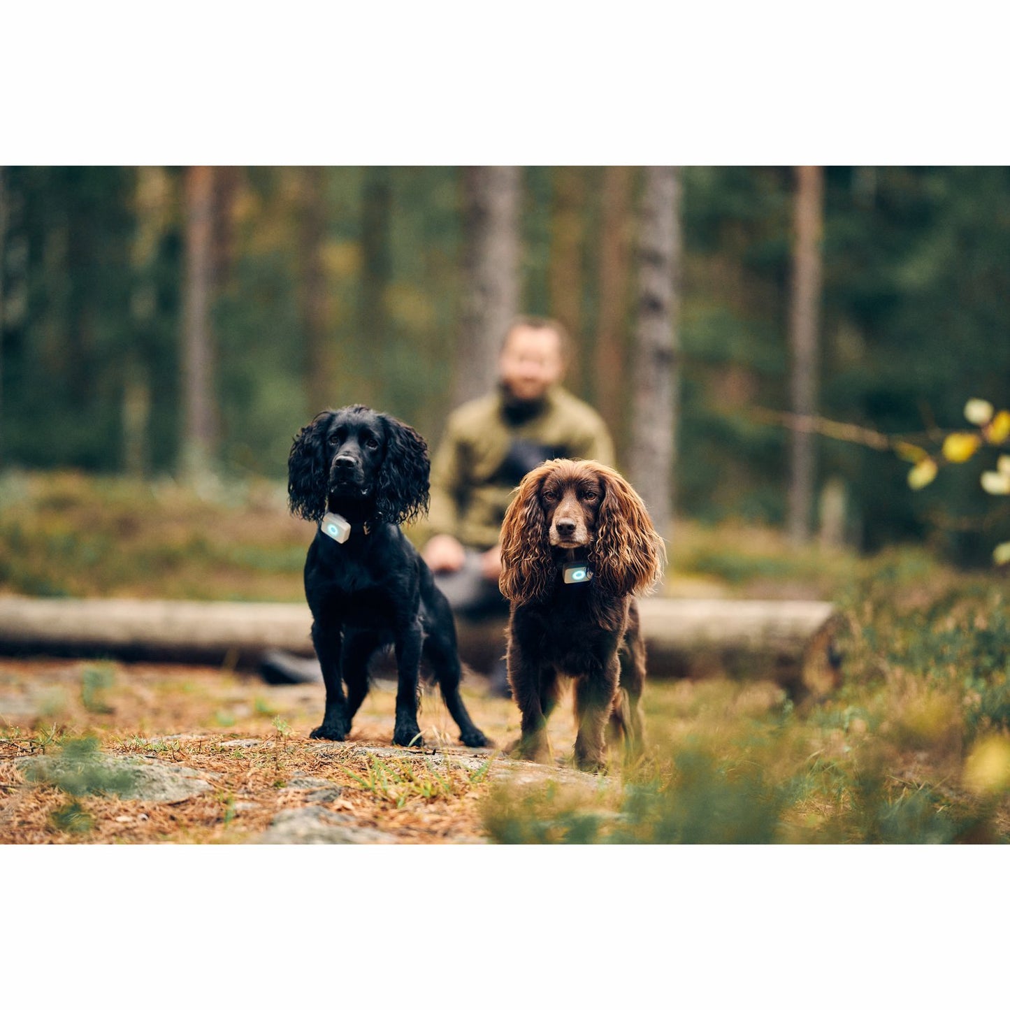 Lildog 2 GPS Tracker for Dogs