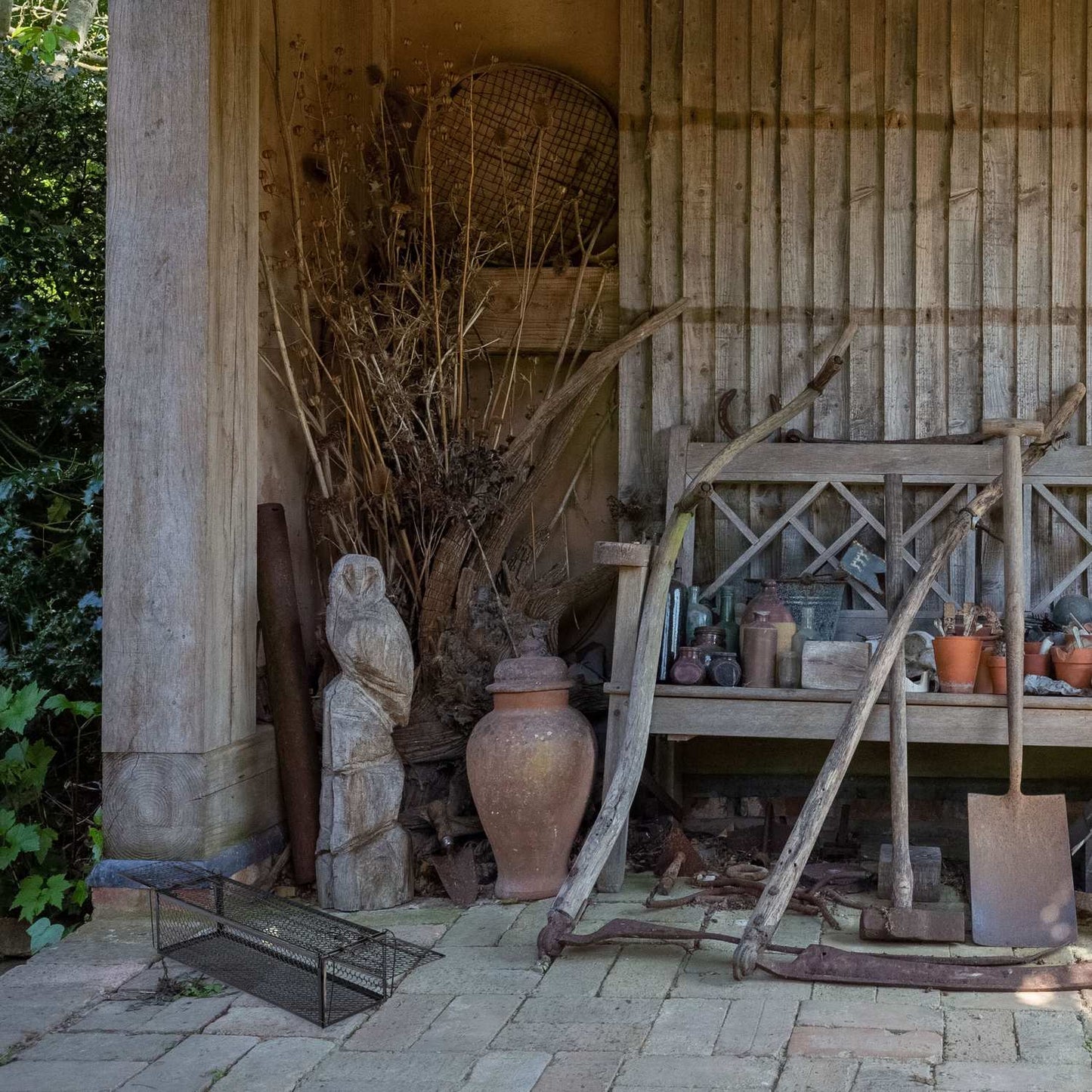 Live trap for mice and rats