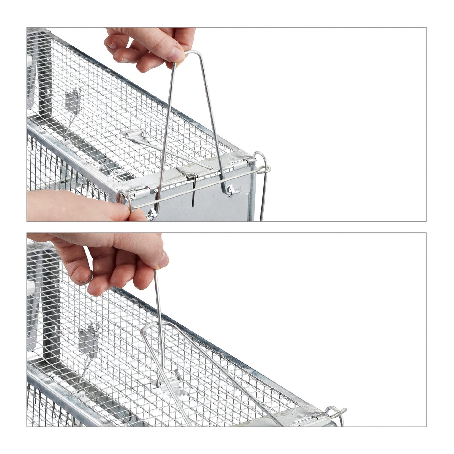 Live trap for mice and rats