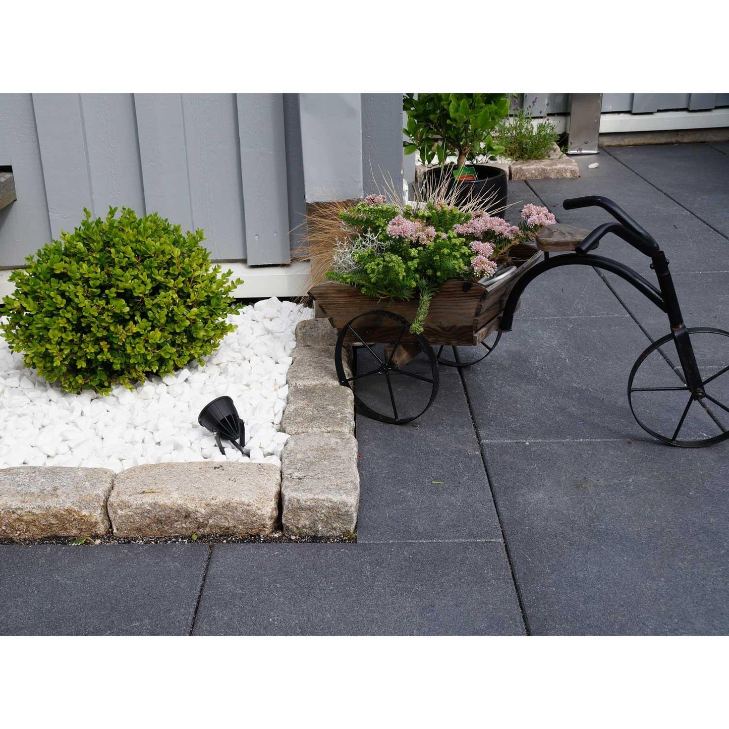 Luminus garden spot Black