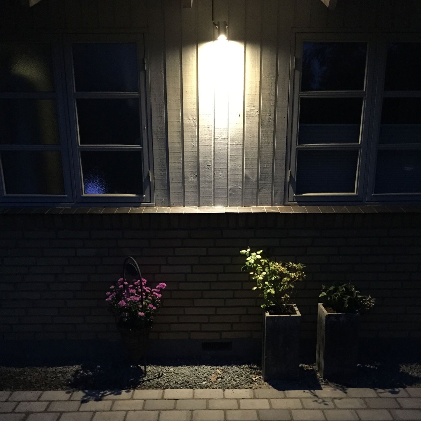 Luna garden spot Black
