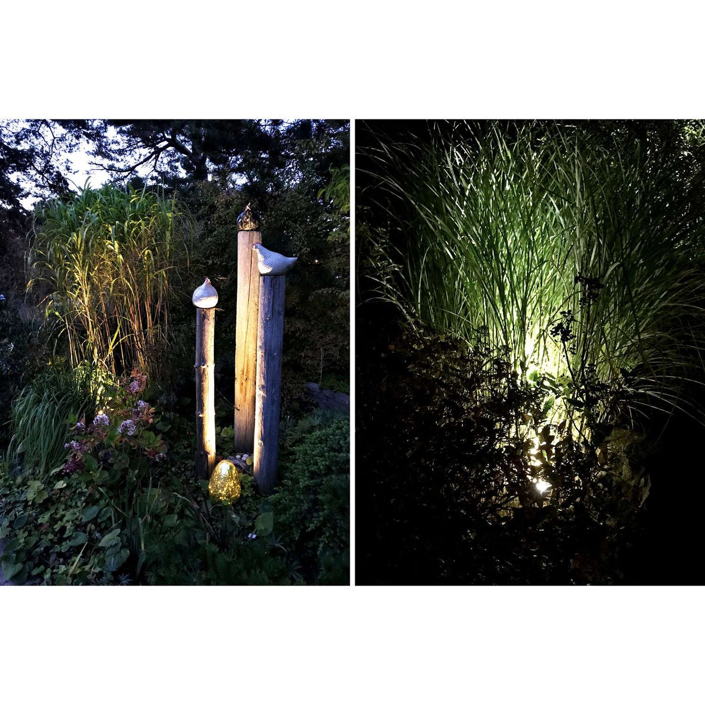 Luna garden spot Black