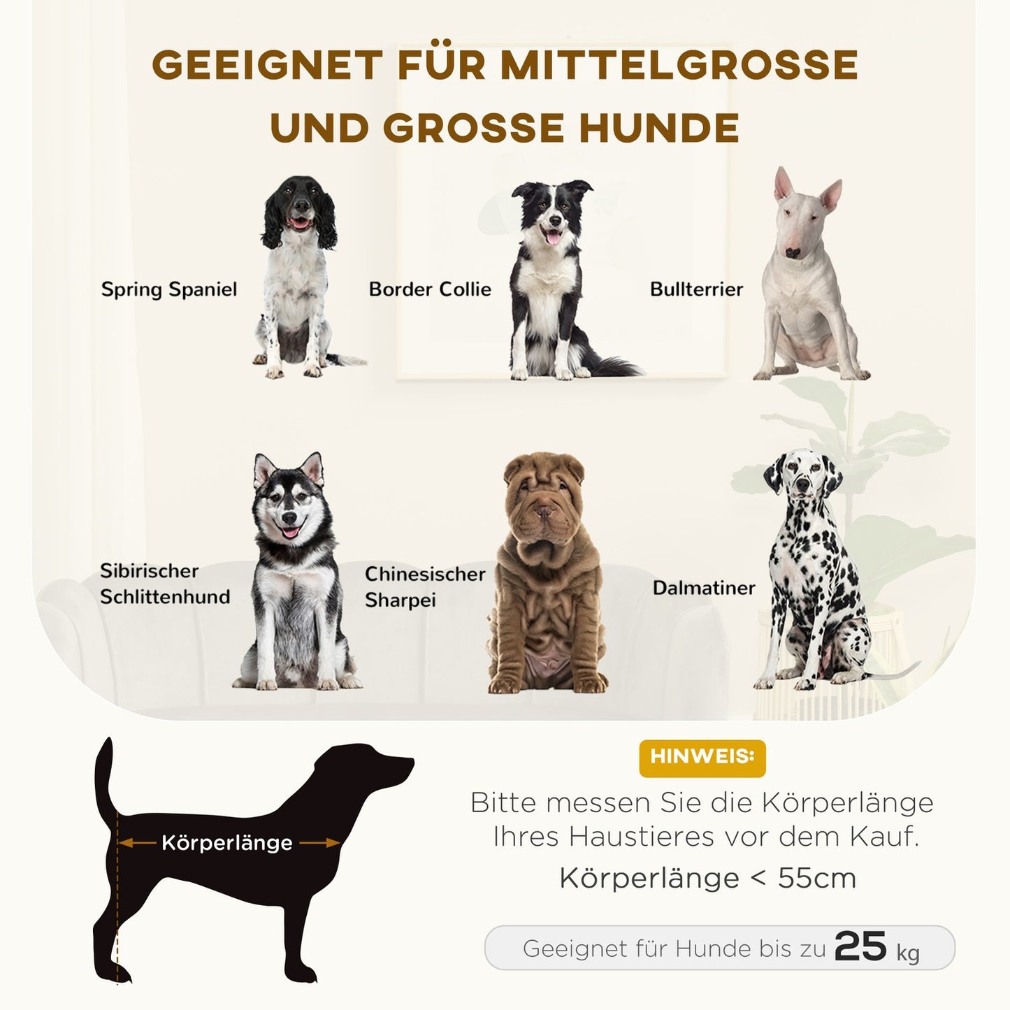 Luxury dog sofa, dark grey, wooden legs, 98.5x60.5x35.5 cm