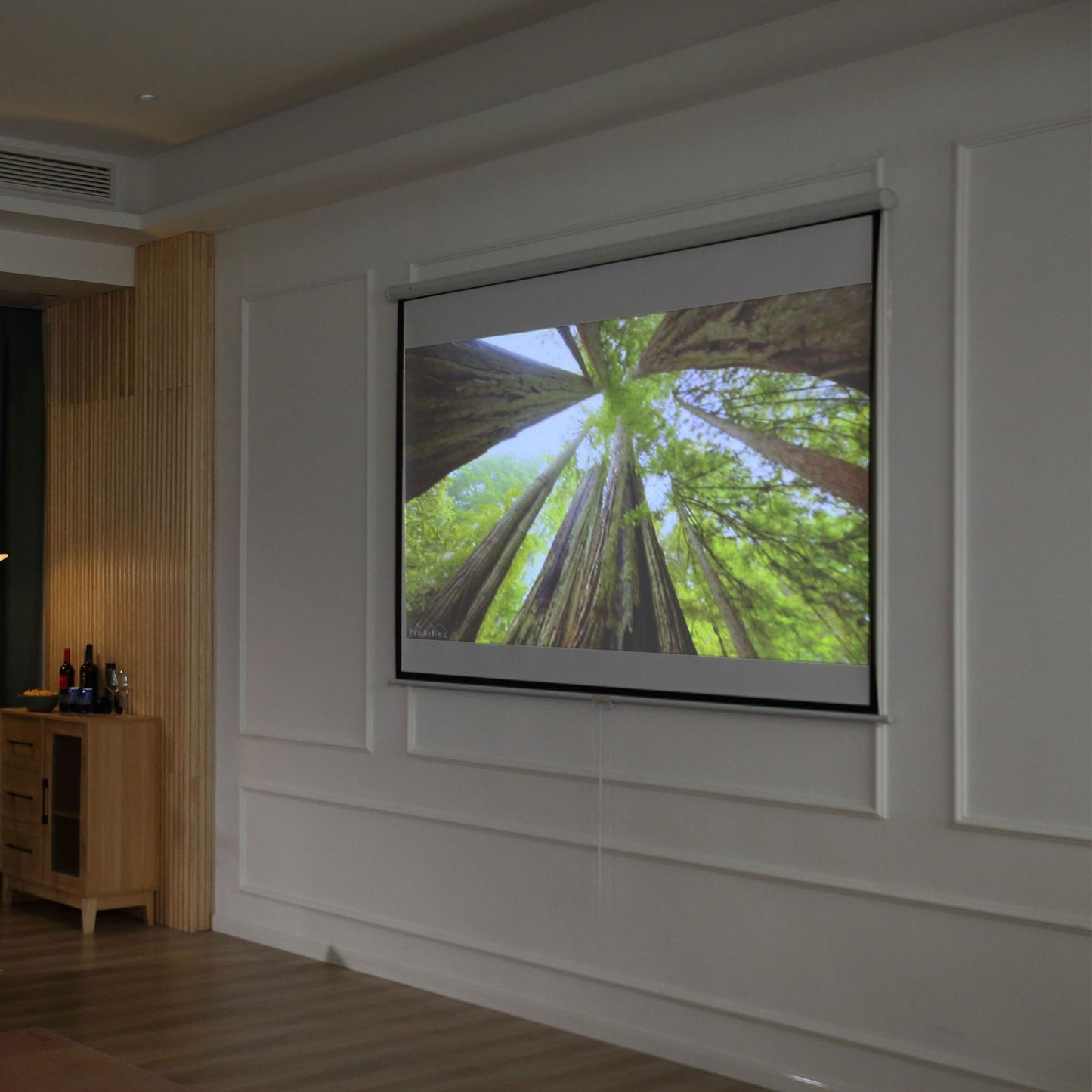 Manual Projector Screen, 100 Inch, 4:3/16:9, Home Theater