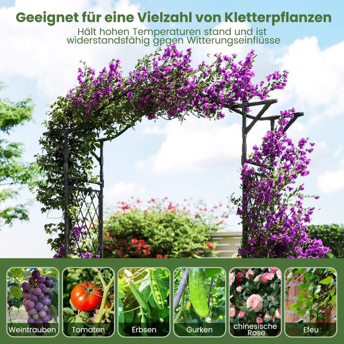 Metal Garden Arch for Climbing Plants, 170x39x210 cm, Black