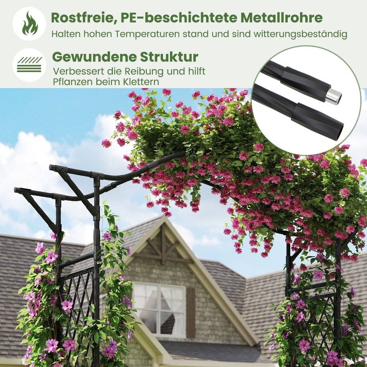 Metal Garden Arch for Climbing Plants, 170x39x210 cm, Black
