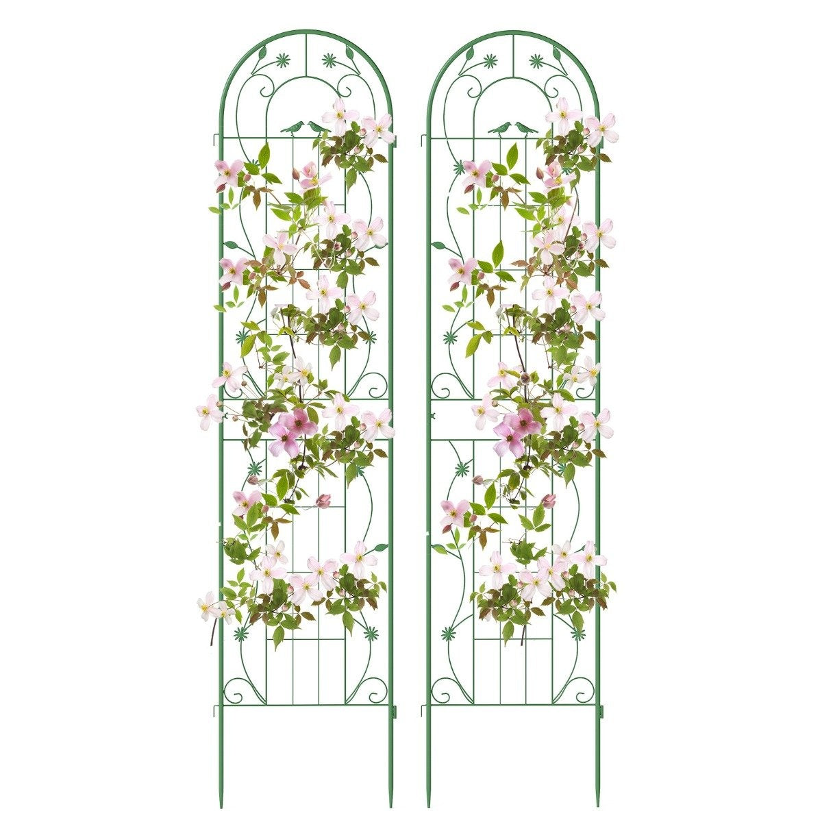Metal Garden Trellis Set – 220cm, Rust-Resistant, 2-Pack