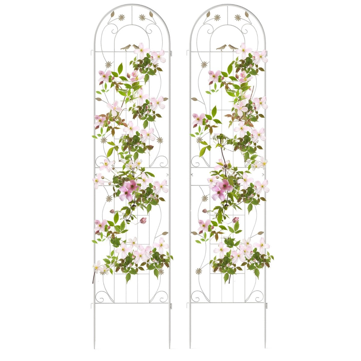 Metal Garden Trellis Set, 220x50 cm, White, 2-Pack