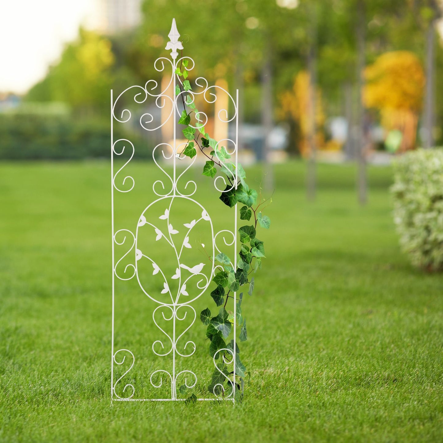 Metal Garden Trellis for Climbing Plants