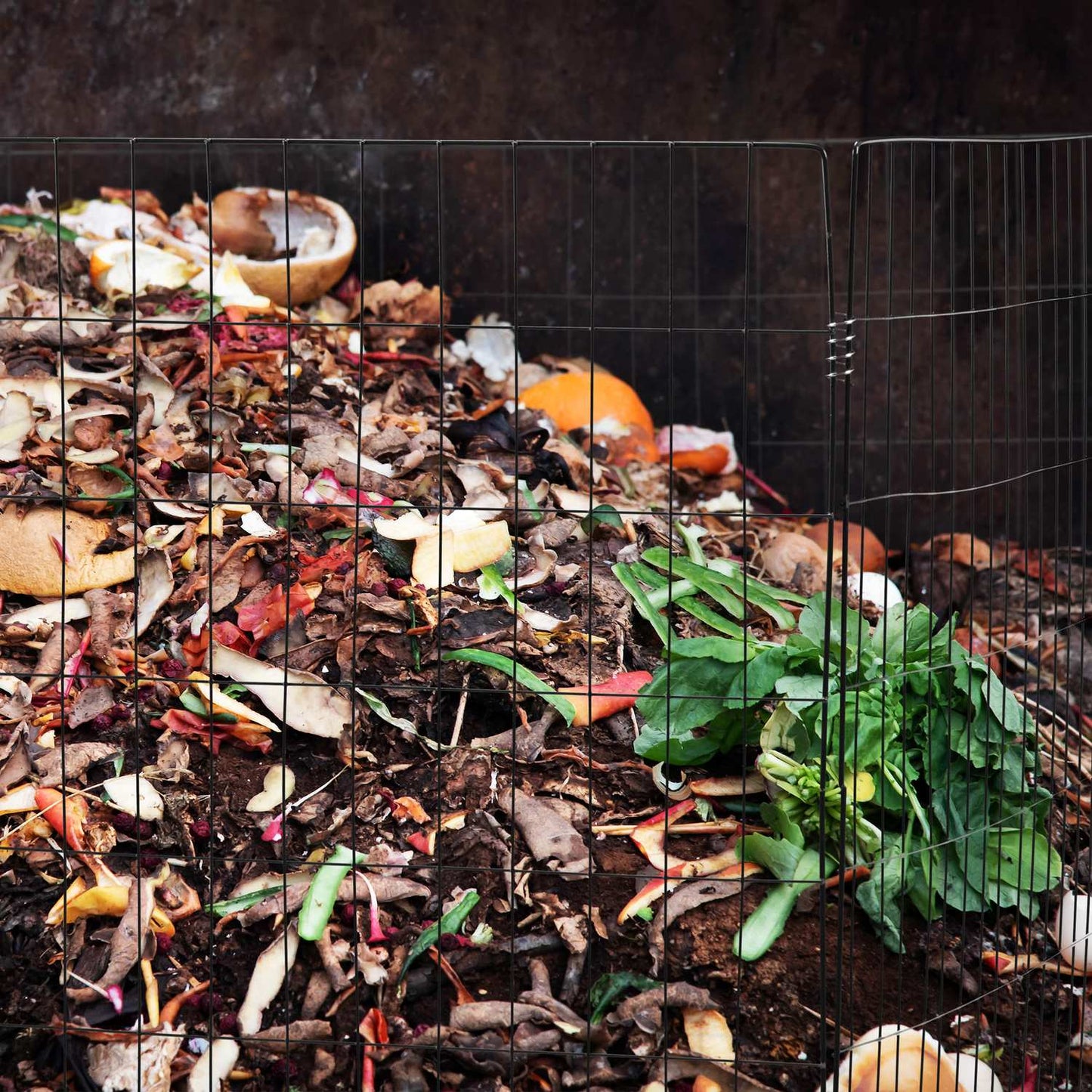 Metal Mesh Compost Bin