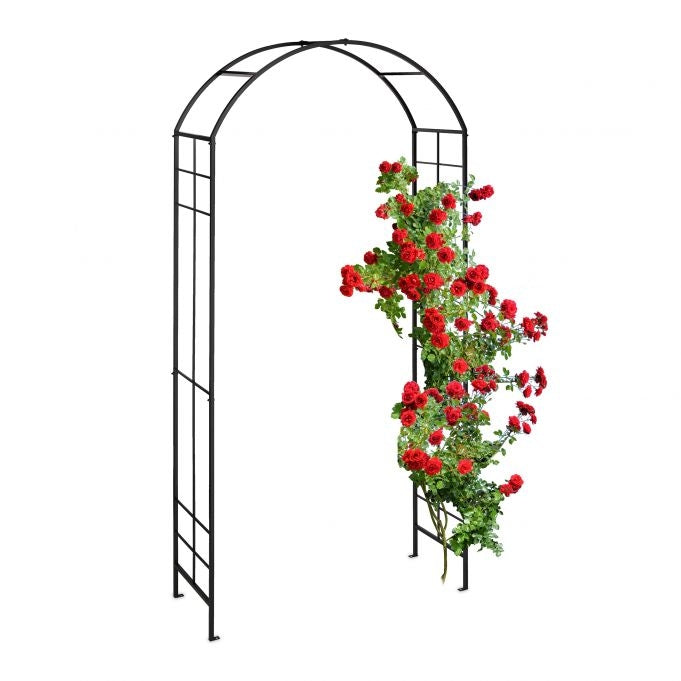 Metal Rose Arch in Black