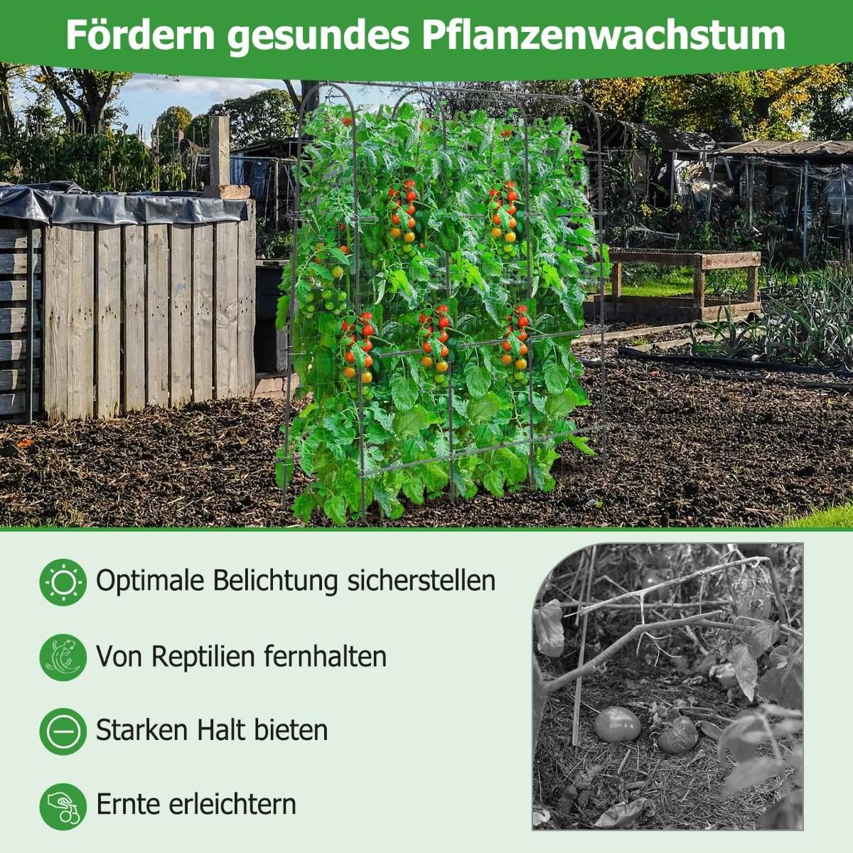 Metal trellis with trellis net for climbing plants support U-shaped high garden cucumber trellis
