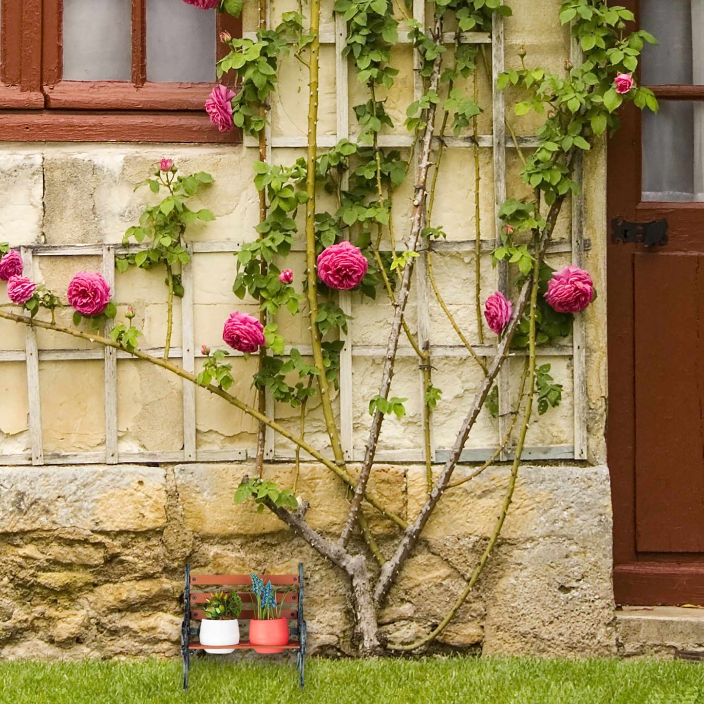 Mini flower bench