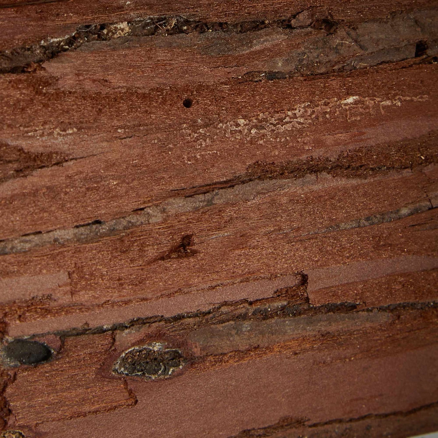Miniholk wood
